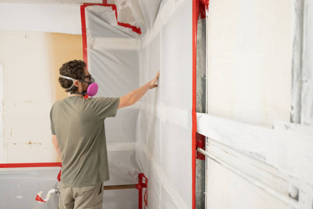 Best Emergency Mold Remediation  in Hemby Bridge, NC